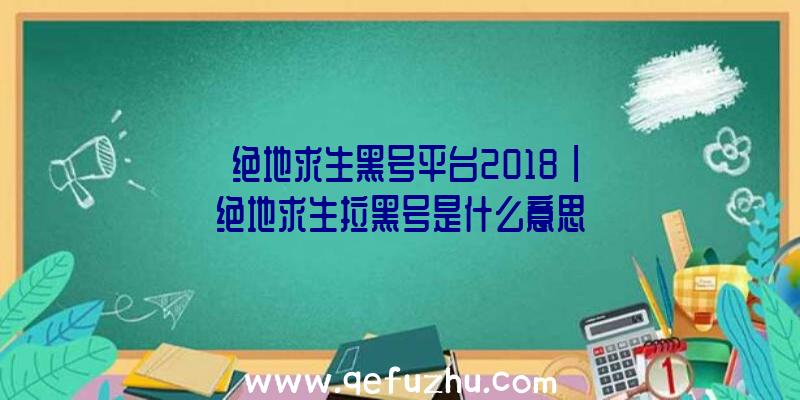 「绝地求生黑号平台2018」|绝地求生拉黑号是什么意思